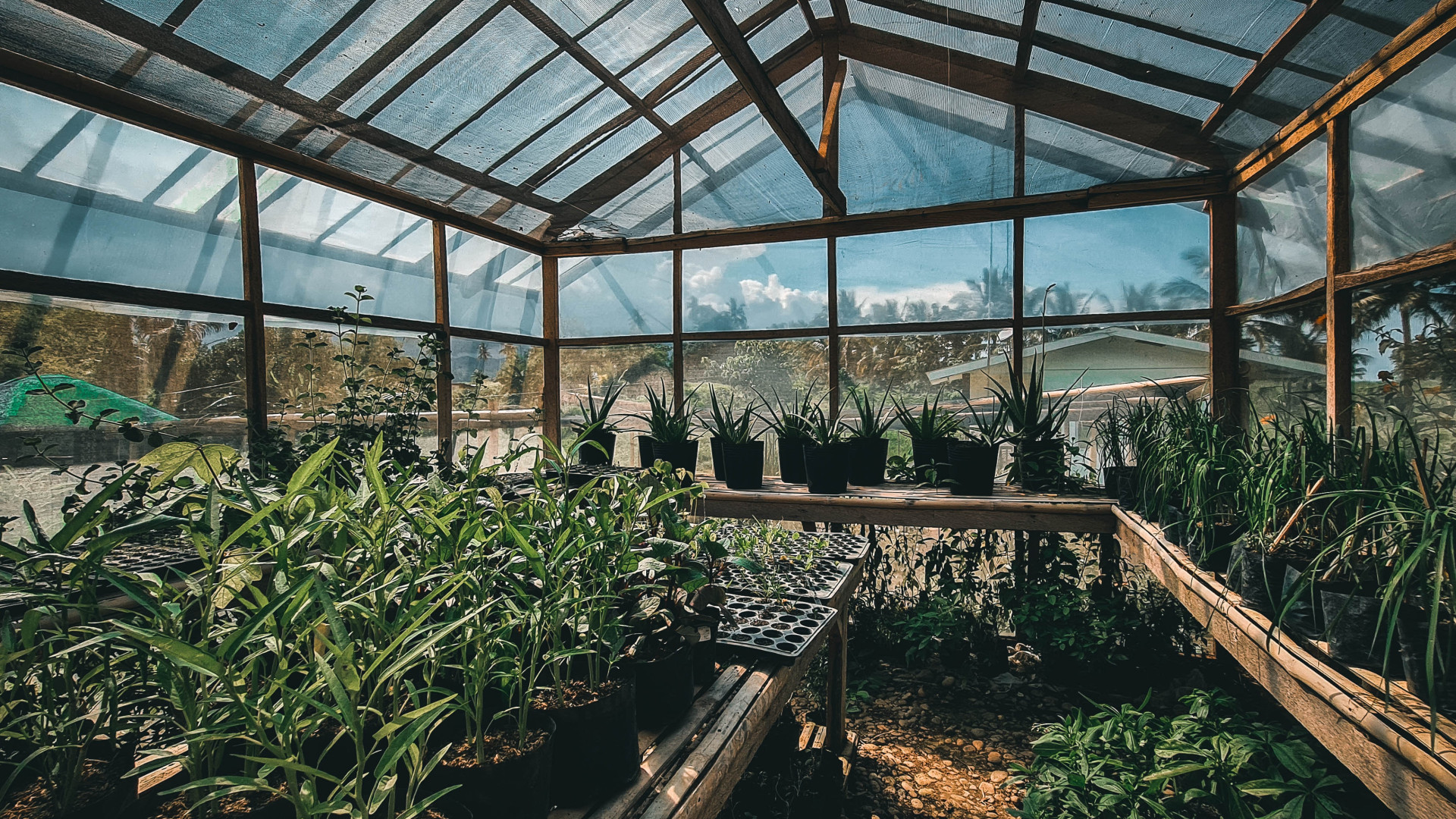 Choisir la serre idéale pour votre jardin